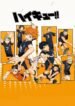 haikyu_haikyu-stream-cover-tIqhab01aFCn23mNuM2dJTp0WdfjqbIy_220x330.jpg